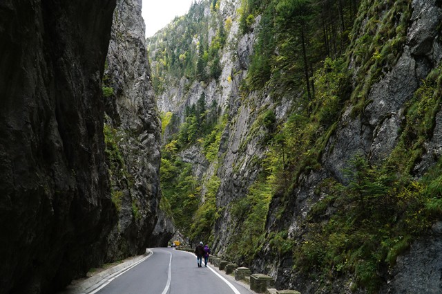 Bicaz