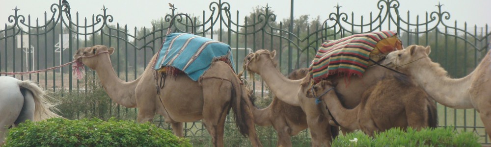 marrakesh